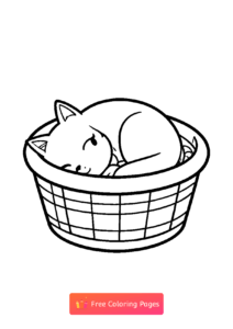 милый котик спит в корзинке 3