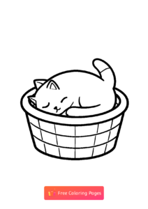 милый котик спит в корзинке 4